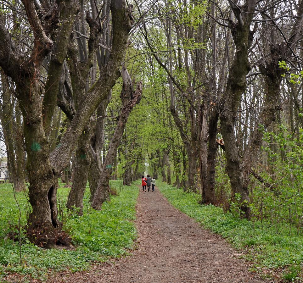 Підгорецький маєток - готель Pidhirtsi  Экстерьер фото